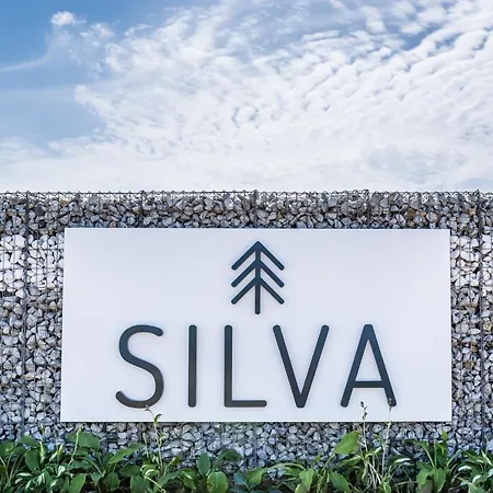 Prázdninový dům Silva *